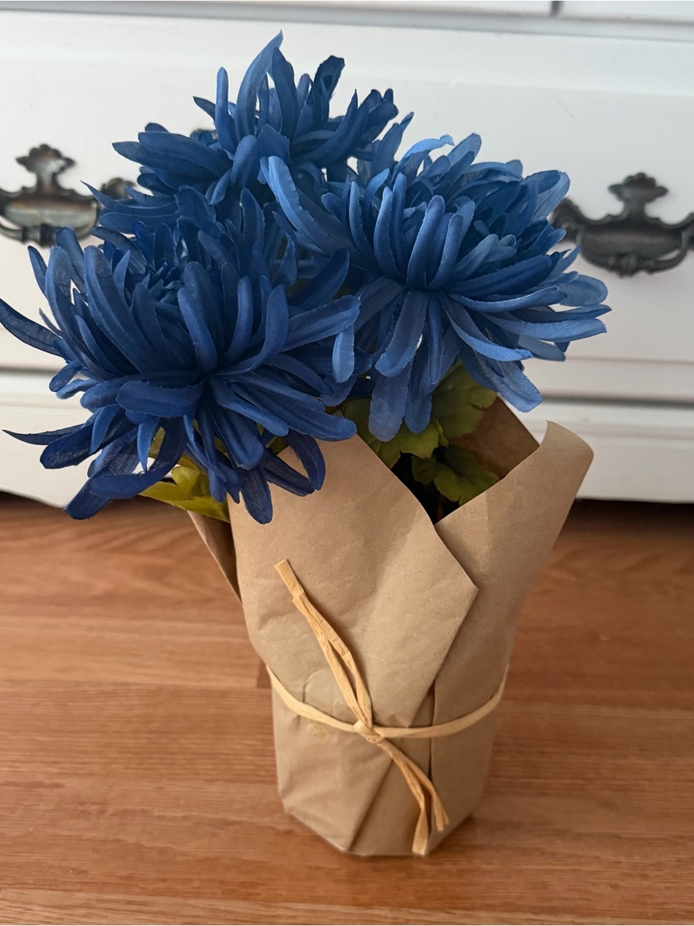 Ashland Potted Blue Spider Mum
